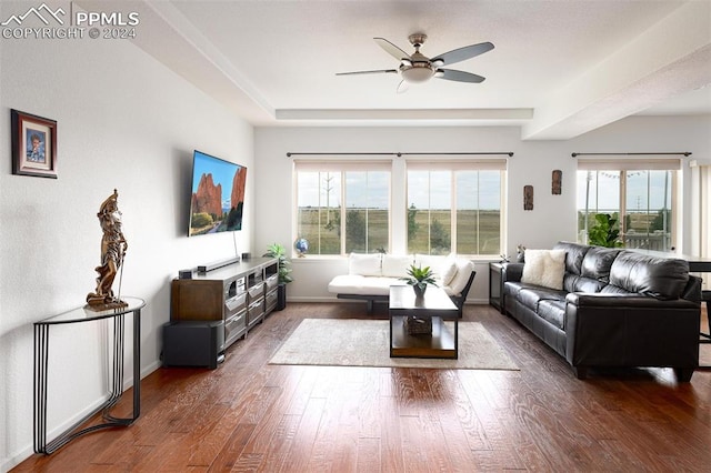 living room featuring a wealth of natural light, dark hardwood / wood-style flooring, and ceiling fan