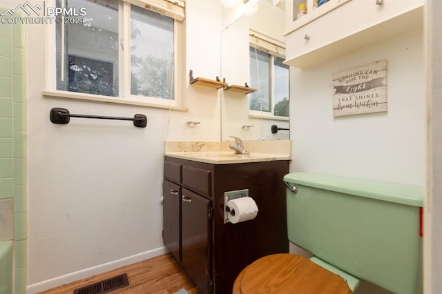 bathroom with toilet, hardwood / wood-style flooring, and vanity