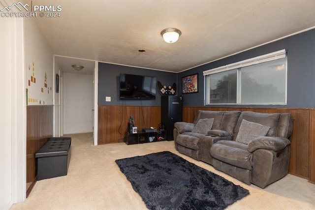 living room featuring wooden walls and carpet