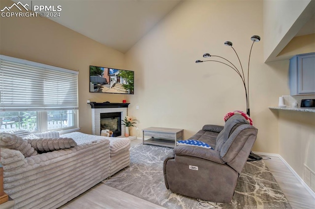 living room with high vaulted ceiling and hardwood / wood-style flooring