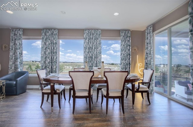 dining room with dark hardwood / wood-style floors