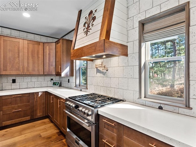 kitchen with light hardwood / wood-style floors, a wealth of natural light, high end stove, and custom range hood