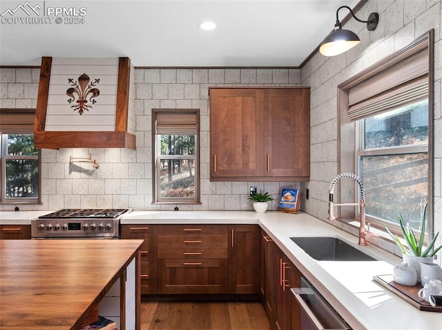 kitchen with hardwood / wood-style flooring, a wealth of natural light, wood counters, and sink