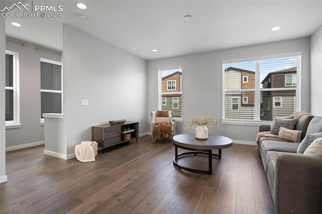 living room with dark hardwood / wood-style flooring