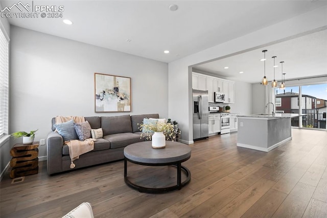 living room featuring dark hardwood / wood-style flooring