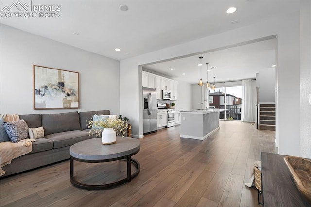 living room featuring sink and dark wood-type flooring