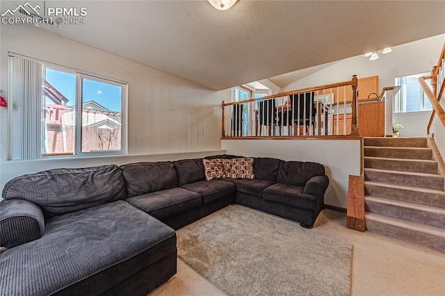 carpeted living room with vaulted ceiling and a wealth of natural light