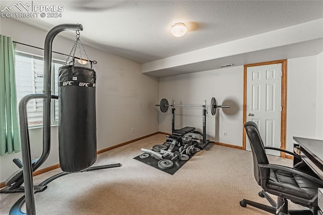 exercise area featuring light colored carpet