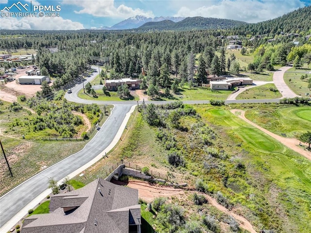 Longs Pt, Woodland Park, CO 80863