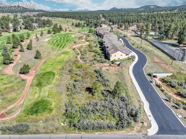 Longs Pt, Woodland Park, CO 80863