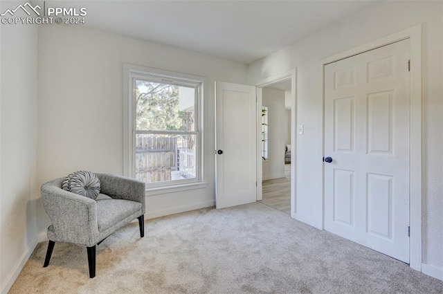 sitting room with light colored carpet