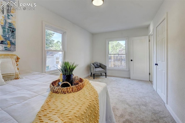 bedroom featuring carpet