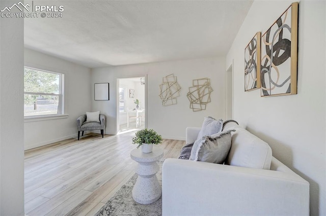 living room featuring light hardwood / wood-style flooring