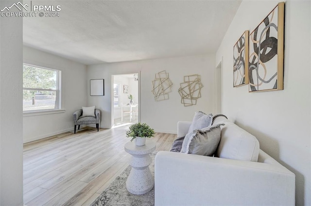 2459 E Willamette Ave, Colorado Springs, CO 80909 - living area with baseboards and wood finished floors