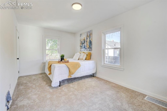 carpeted bedroom featuring multiple windows