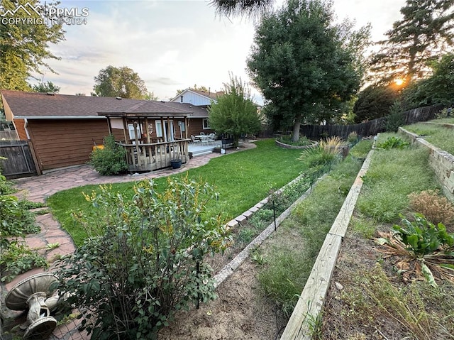 view of yard featuring a patio area