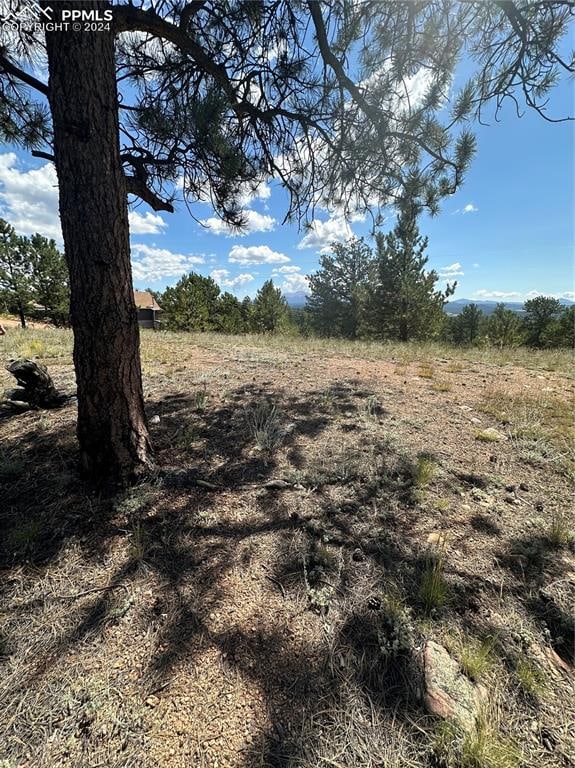 627 Navajo Trl, Florissant CO, 80816 land for sale