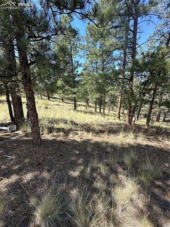 Listing photo 2 for 627 Navajo Trl, Florissant CO 80816