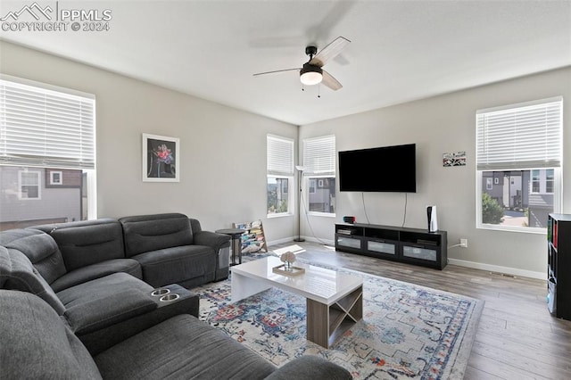 living room with ceiling fan and wood-type flooring