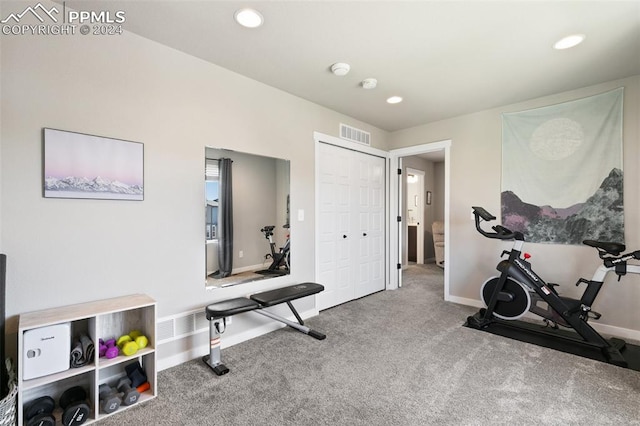 workout area featuring carpet floors