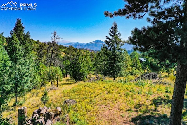 property view of mountains