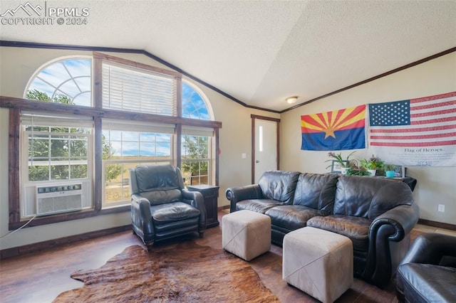 living room with a textured ceiling, a healthy amount of sunlight, and vaulted ceiling