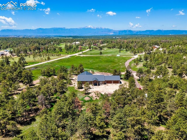 bird's eye view featuring a mountain view