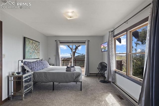 bedroom with multiple windows and carpet flooring