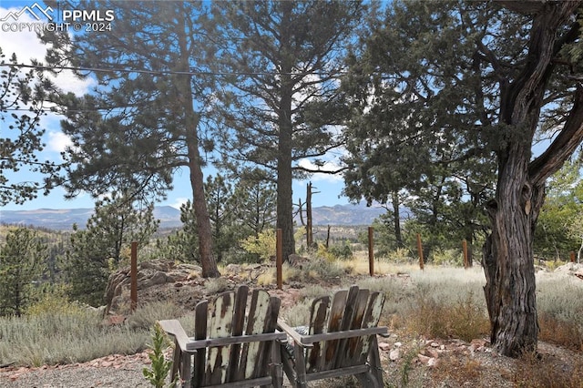 view of yard featuring a mountain view