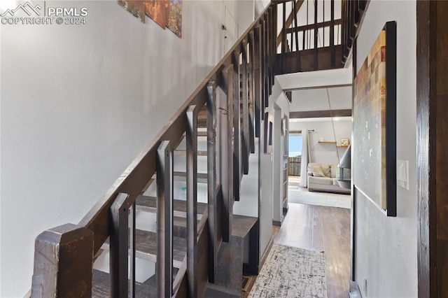 staircase featuring hardwood / wood-style flooring and a high ceiling