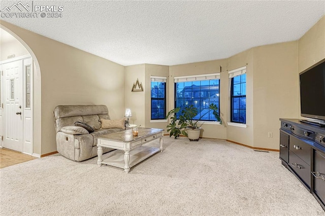 carpeted living room featuring a textured ceiling