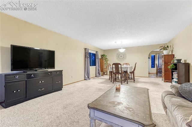 living room with carpet floors and a textured ceiling