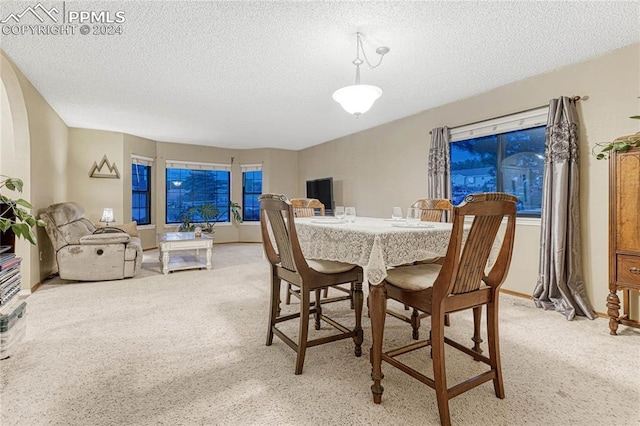 dining area with light carpet and a textured ceiling