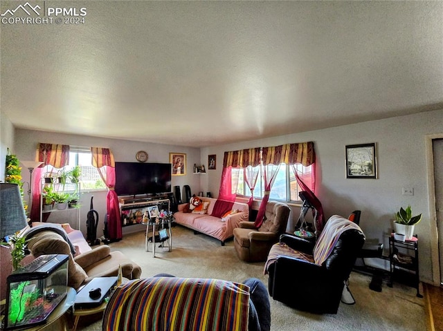 living room featuring a textured ceiling, a wealth of natural light, and carpet floors