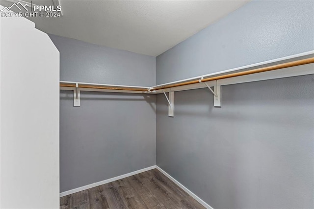 walk in closet featuring dark wood-type flooring