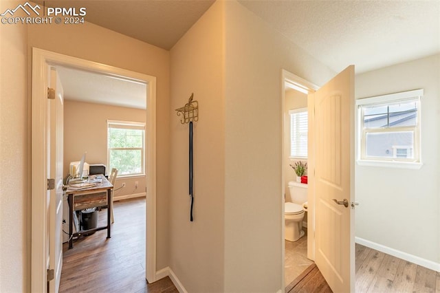 hallway with a textured ceiling and hardwood / wood-style flooring