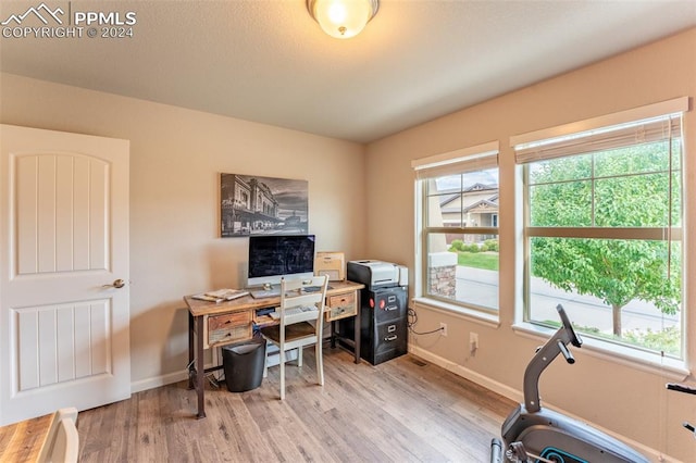 home office featuring light hardwood / wood-style flooring