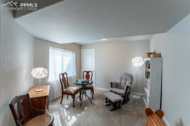 sitting room with carpet and a textured ceiling