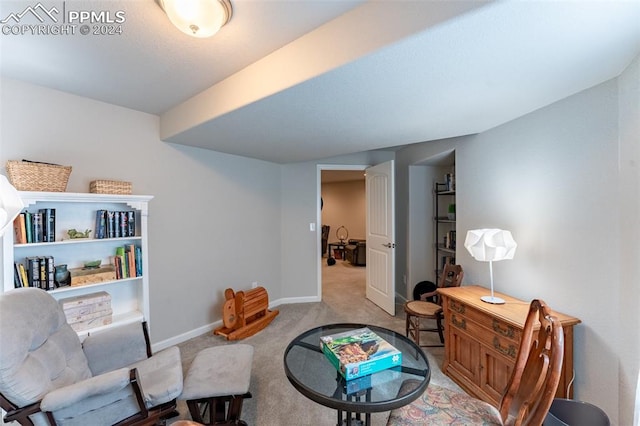 sitting room featuring light carpet