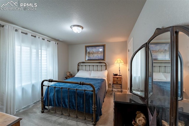 bedroom with a textured ceiling and carpet flooring