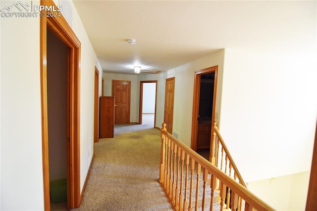 hallway featuring light carpet