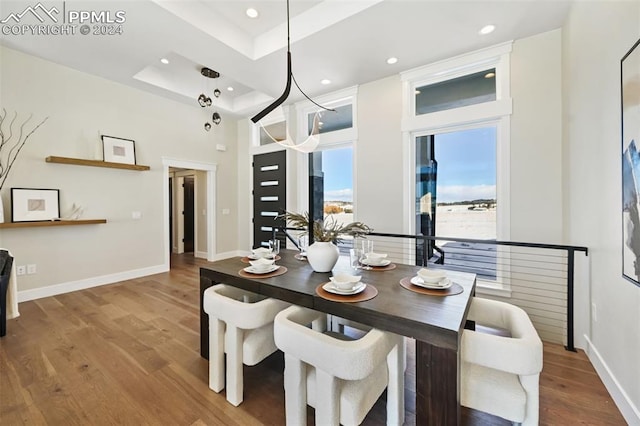 dining space with a raised ceiling, wood-type flooring, and a high ceiling