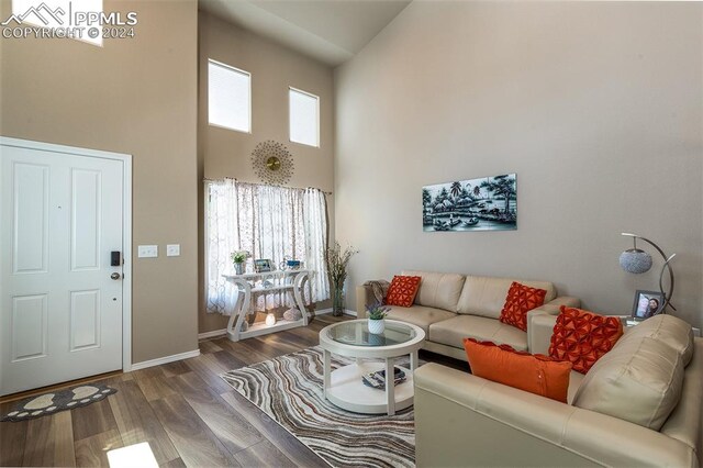 living room featuring dark wood-type flooring and a towering ceiling