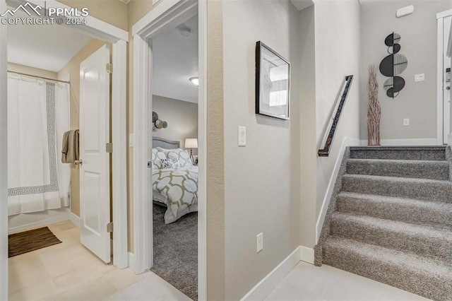 staircase with carpet floors