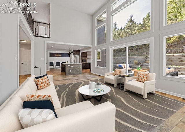 living room featuring wood-type flooring and a high ceiling