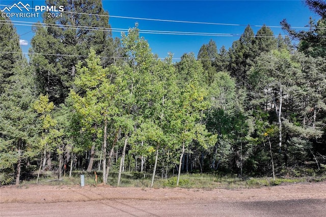 Listing photo 3 for 282 Pinon Lake Dr, Divide CO 80814