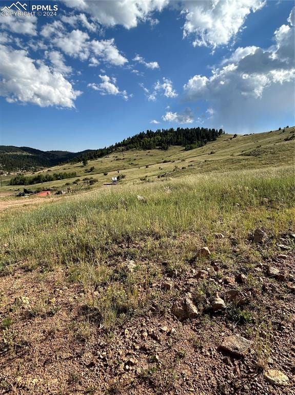 L1 Shideler St, Cripple Creek CO, 80813 land for sale