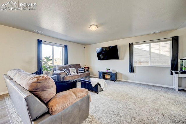 living room with light colored carpet and a textured ceiling