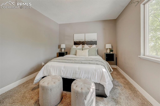 bedroom featuring multiple windows, carpet, and a textured ceiling