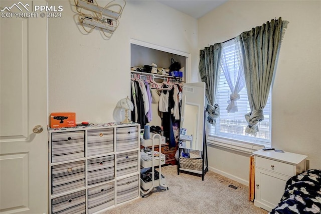 spacious closet featuring light carpet